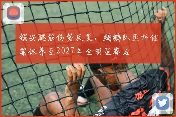 锡安腿筋伤势反复，鹈鹕队医评估需休养至2027年全明星赛后